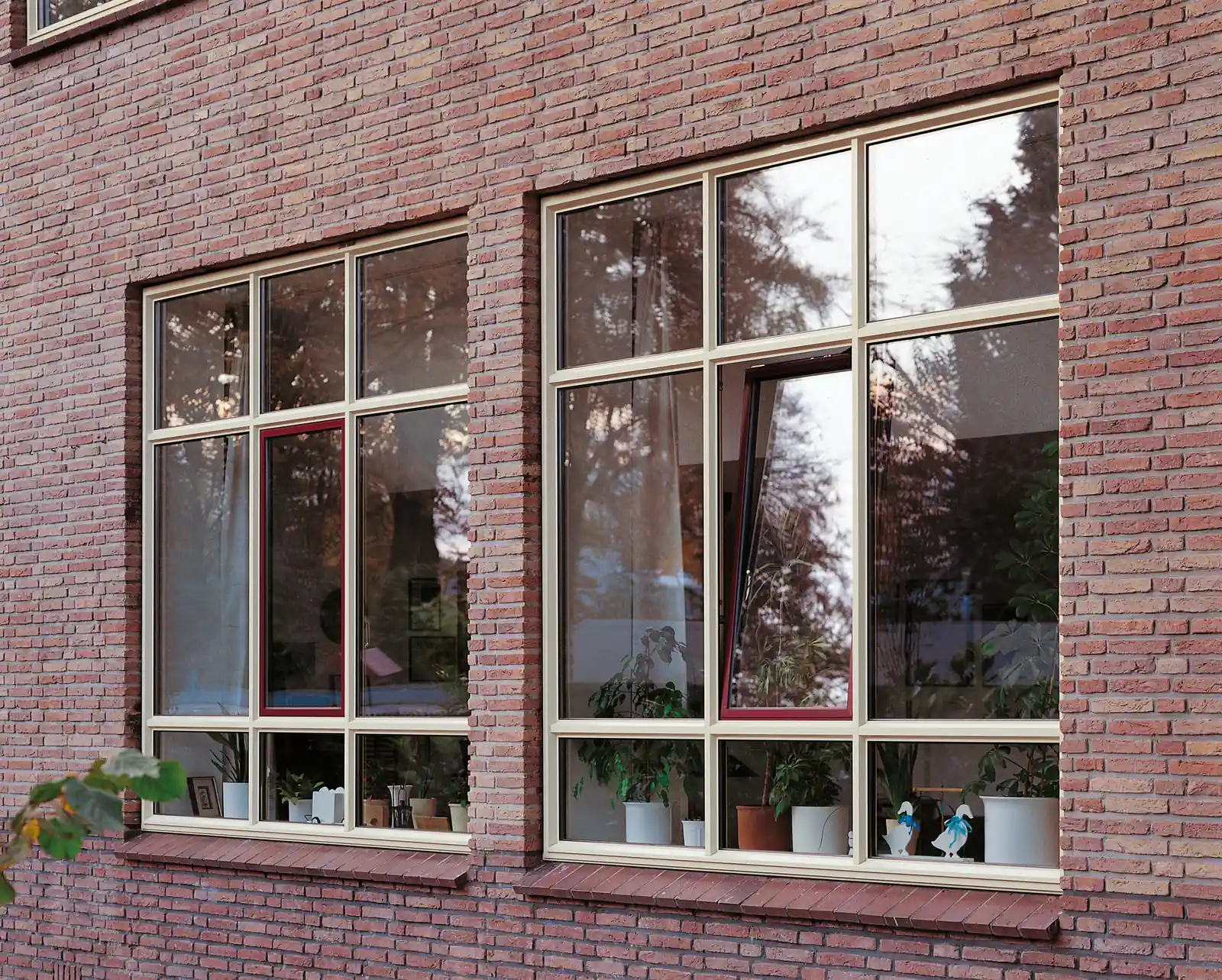 SlimLine Elite aluminum windows, cream frames with mullions and transoms, in a brick wall